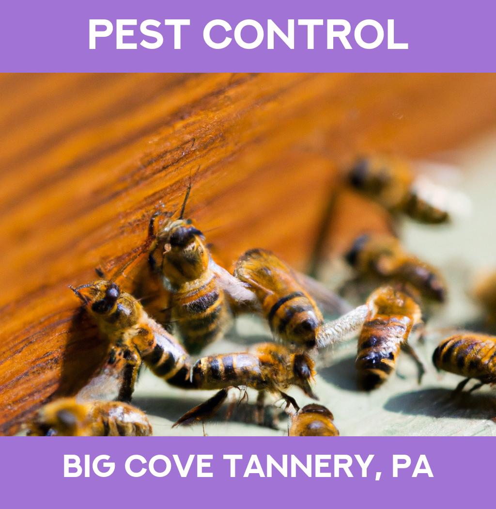 pest control in Big Cove Tannery Pennsylvania