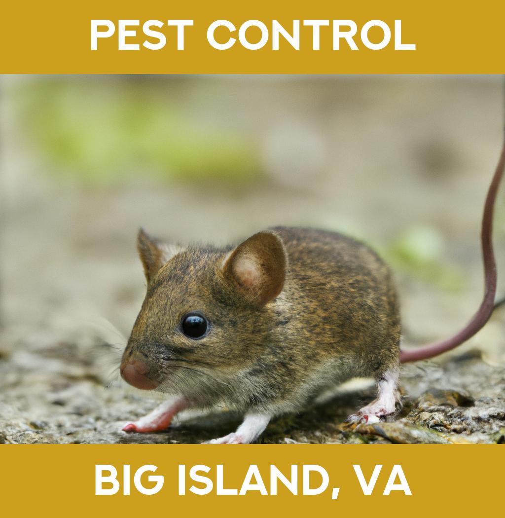pest control in Big Island Virginia