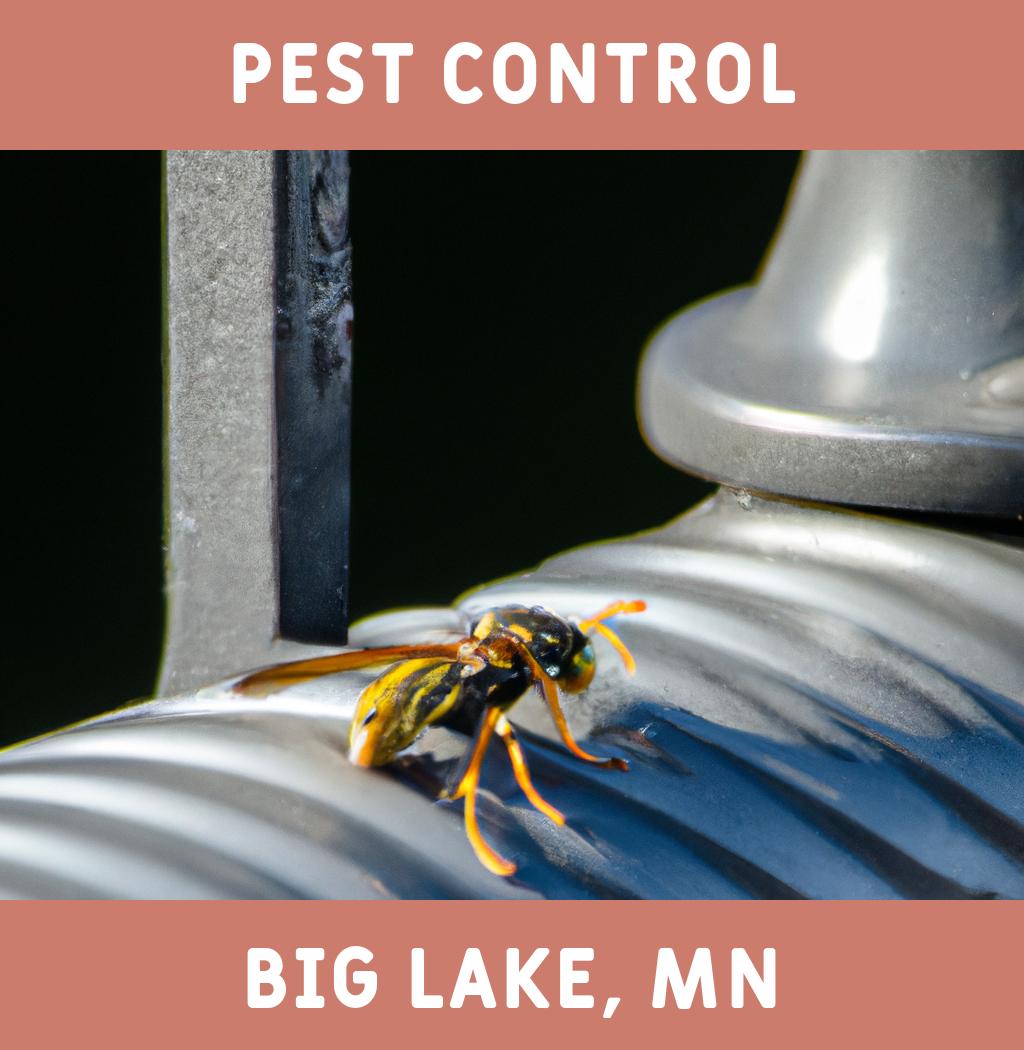 pest control in Big Lake Minnesota