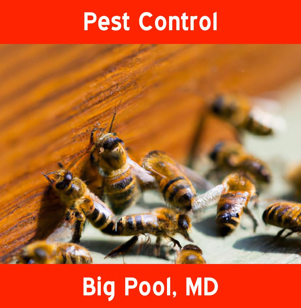 pest control in Big Pool Maryland