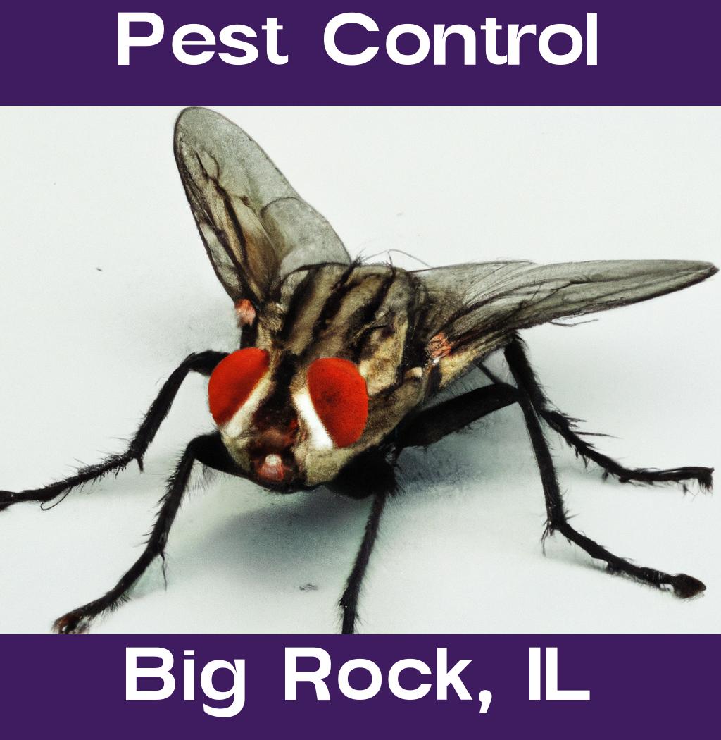 pest control in Big Rock Illinois