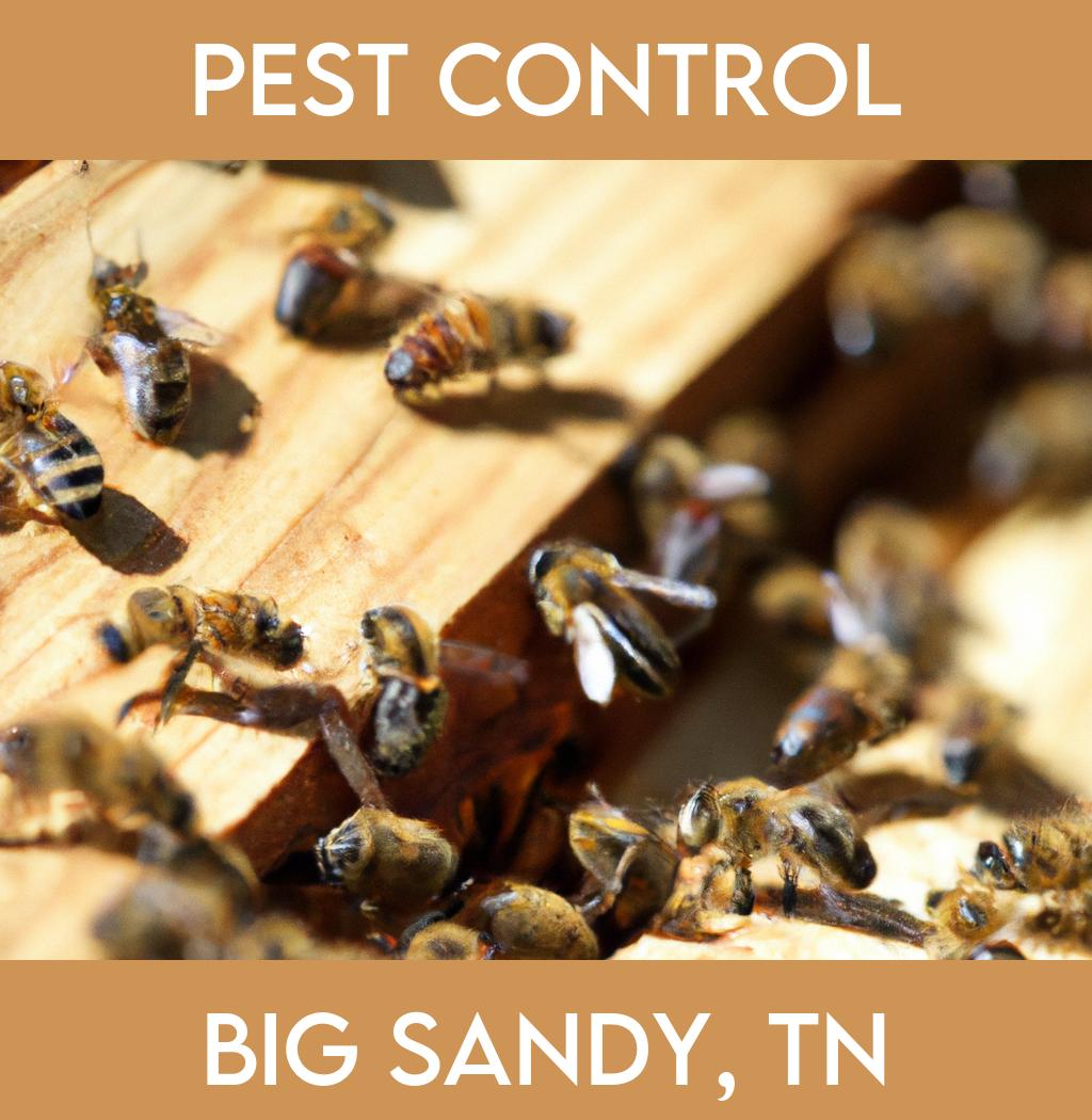 pest control in Big Sandy Tennessee