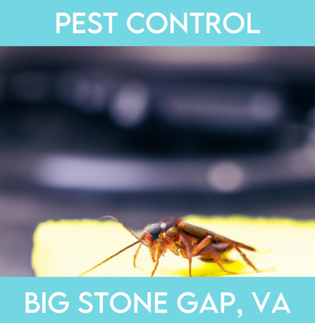 pest control in Big Stone Gap Virginia