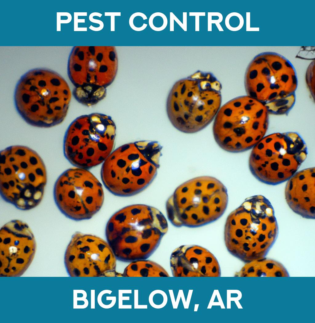 pest control in Bigelow Arkansas