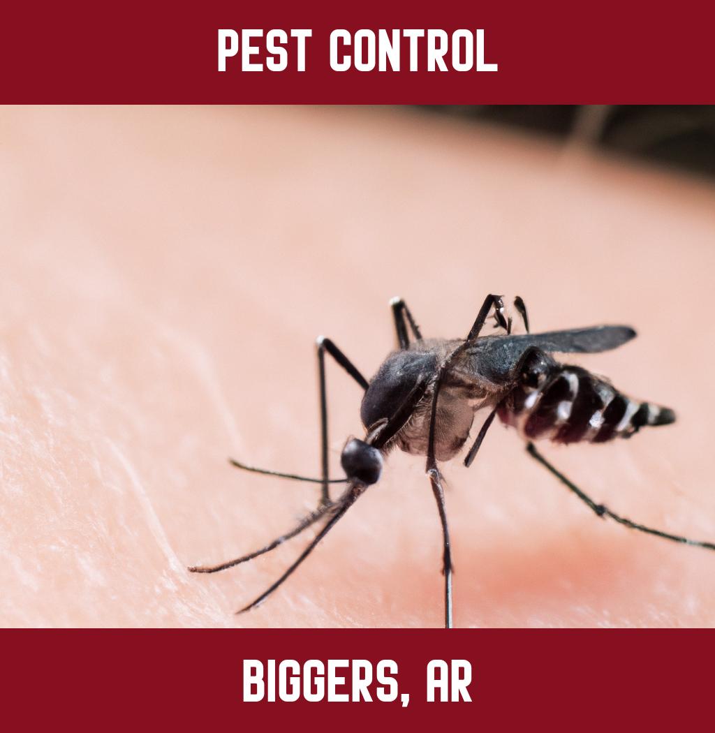 pest control in Biggers Arkansas