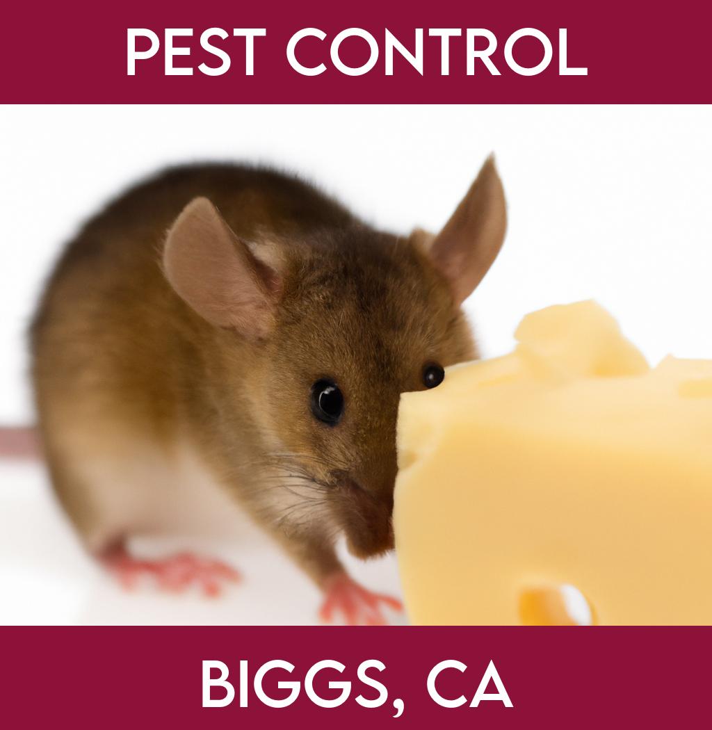pest control in Biggs California