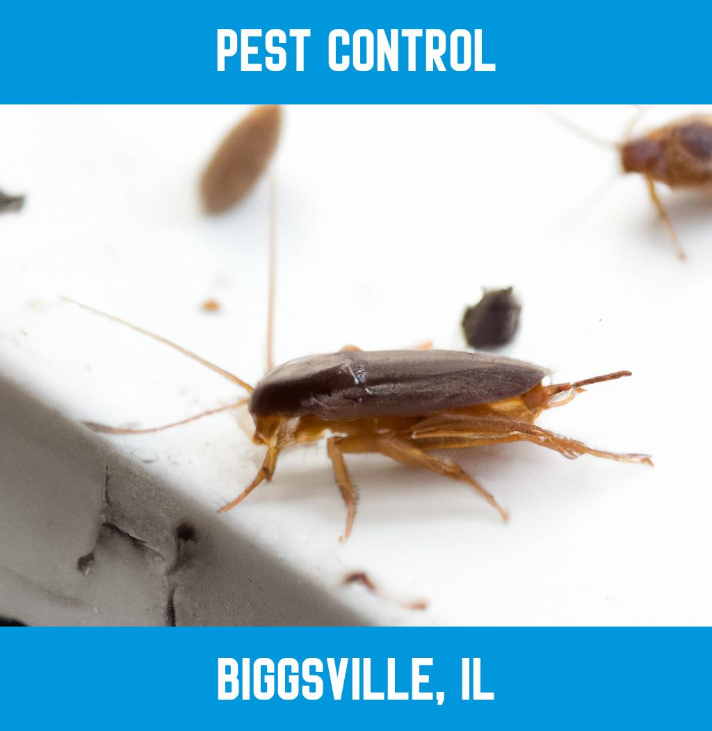 pest control in Biggsville Illinois