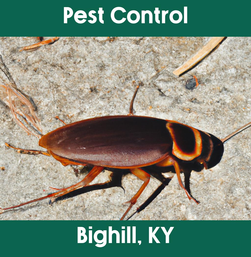 pest control in Bighill Kentucky