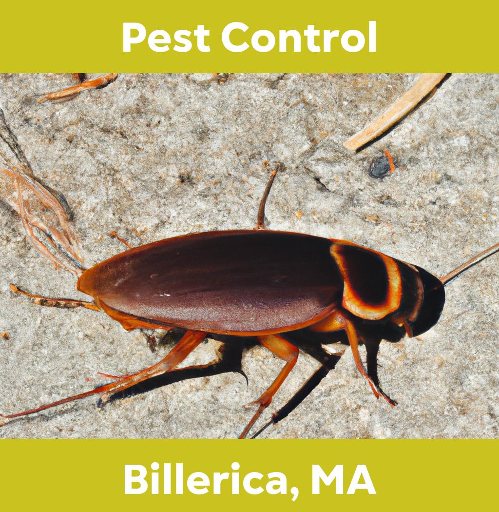 pest control in Billerica Massachusetts