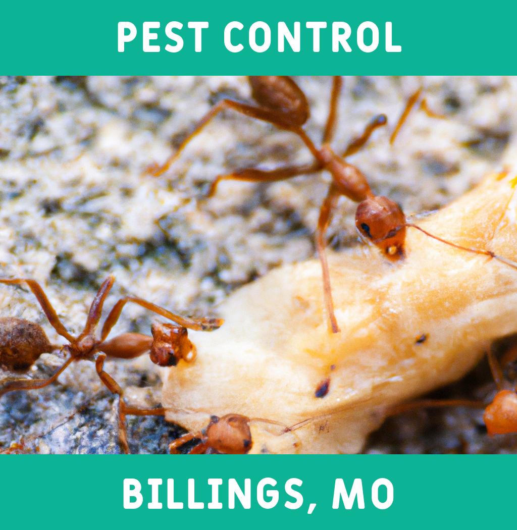 pest control in Billings Missouri