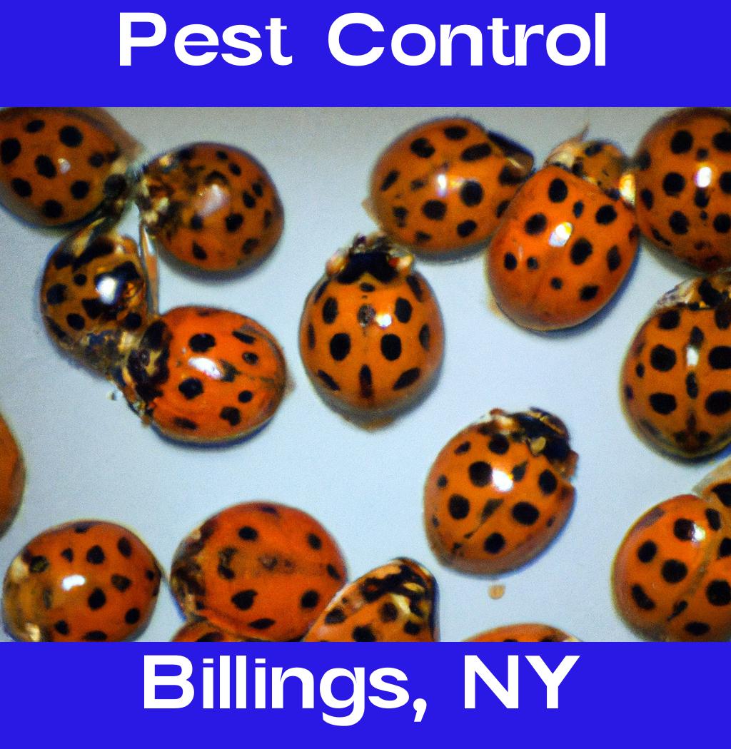 pest control in Billings New York