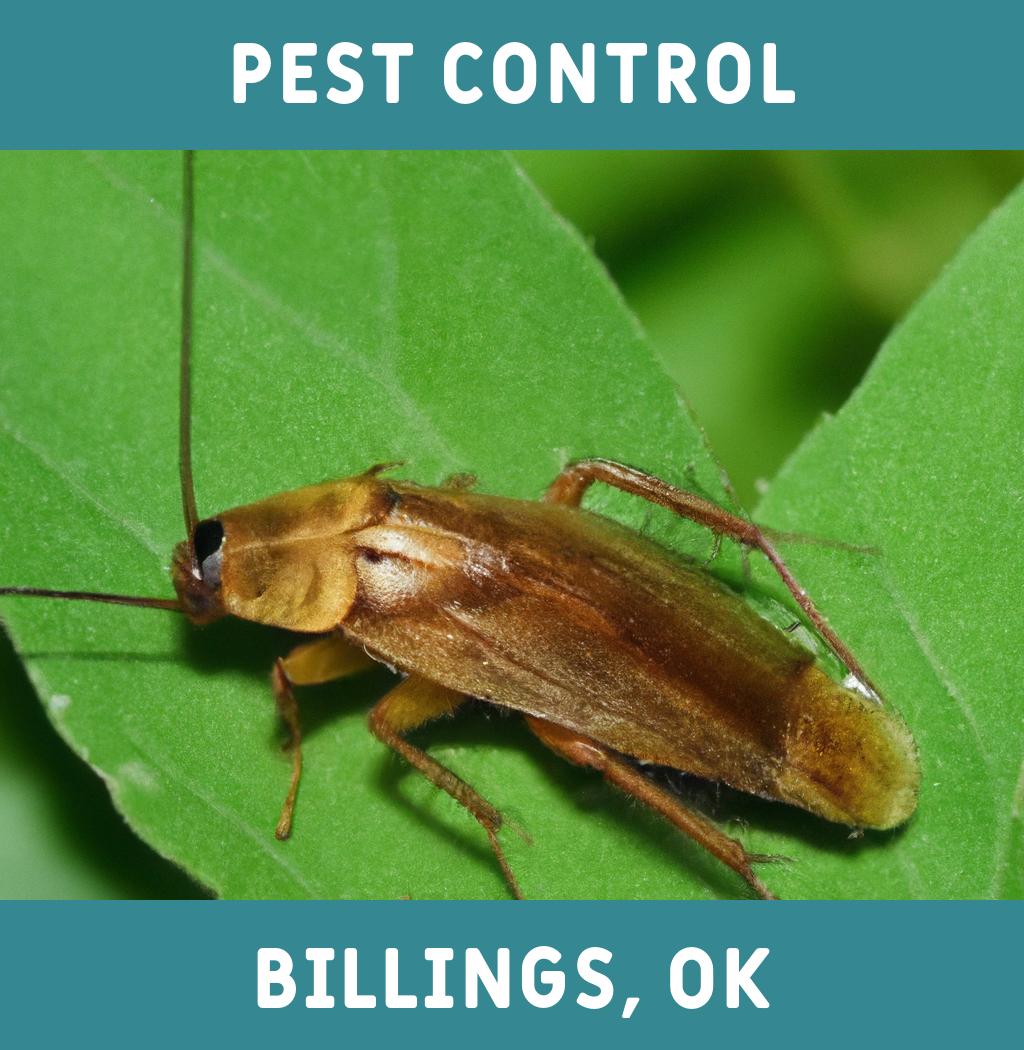 pest control in Billings Oklahoma