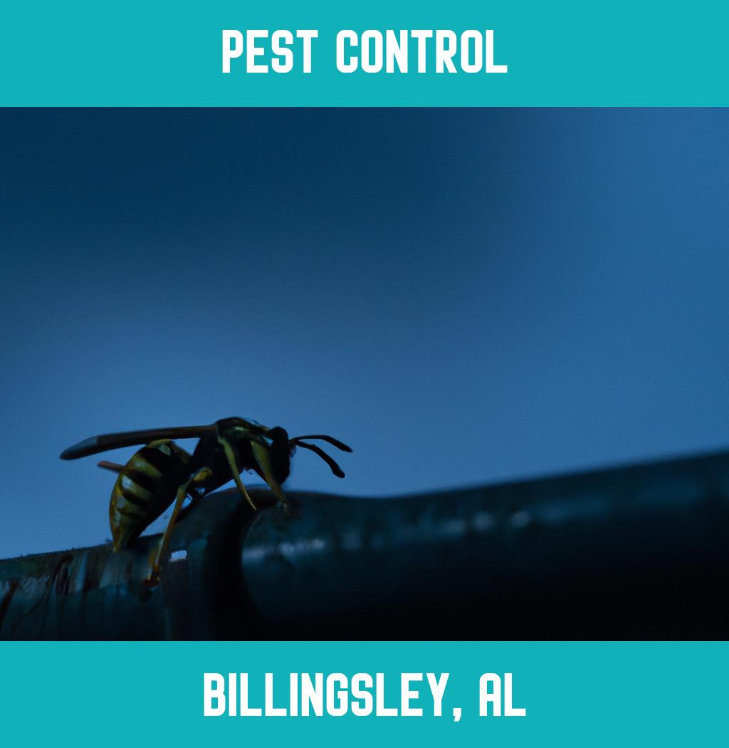 pest control in Billingsley Alabama
