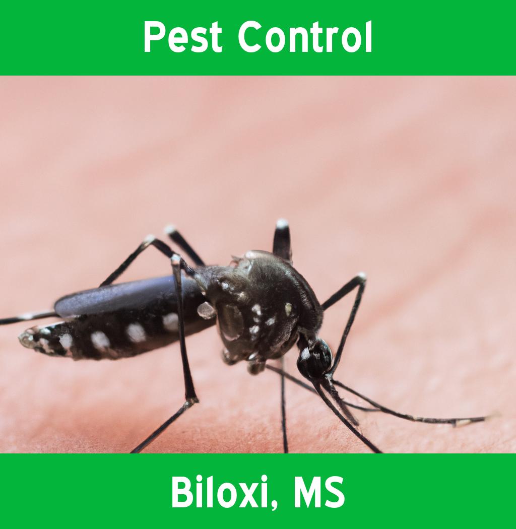 pest control in Biloxi Mississippi