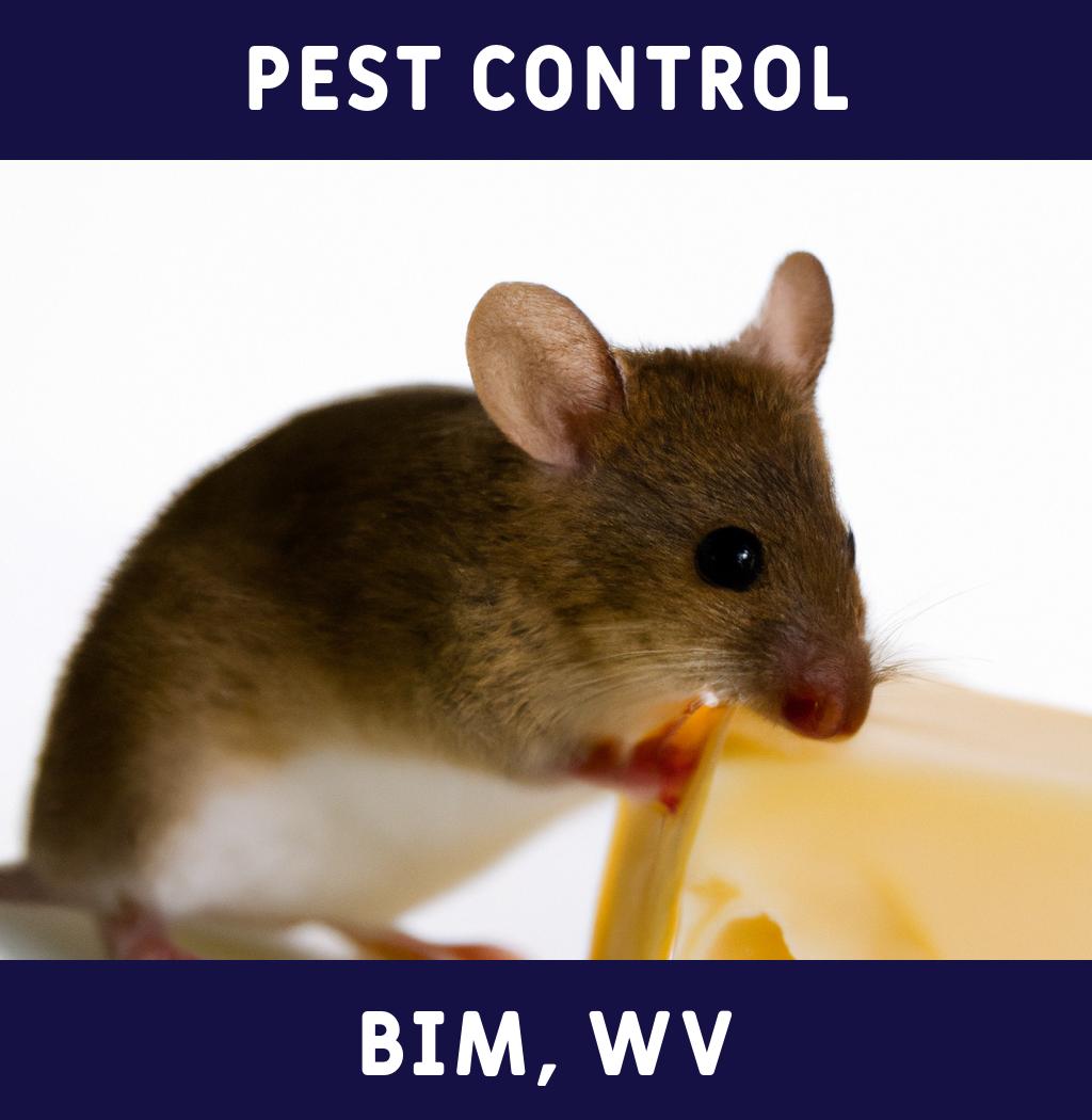 pest control in Bim West Virginia