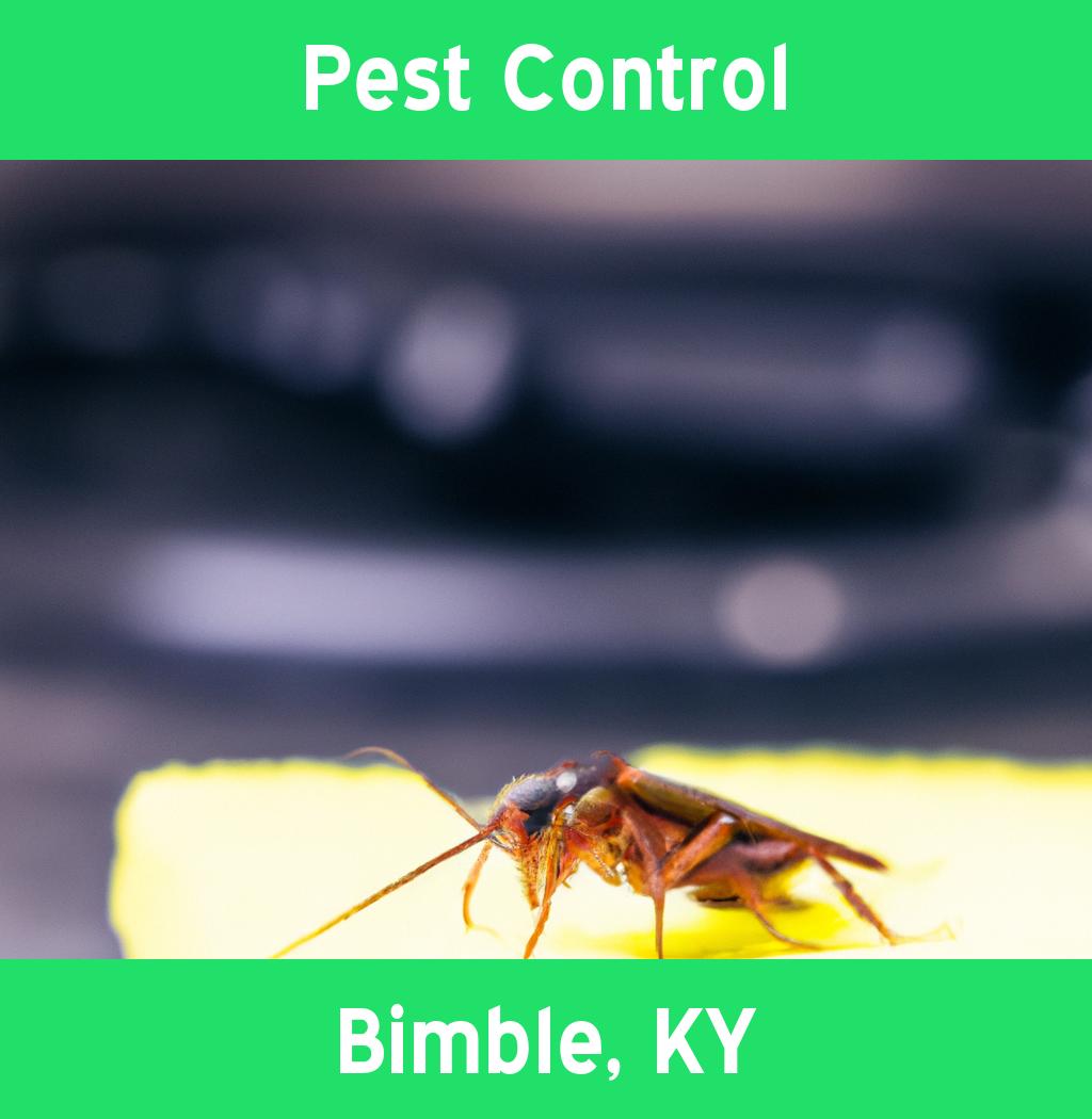 pest control in Bimble Kentucky