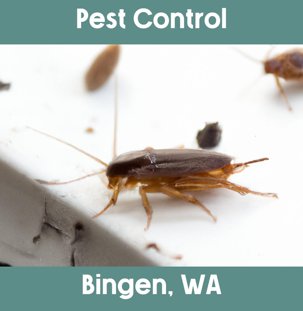 pest control in Bingen Washington