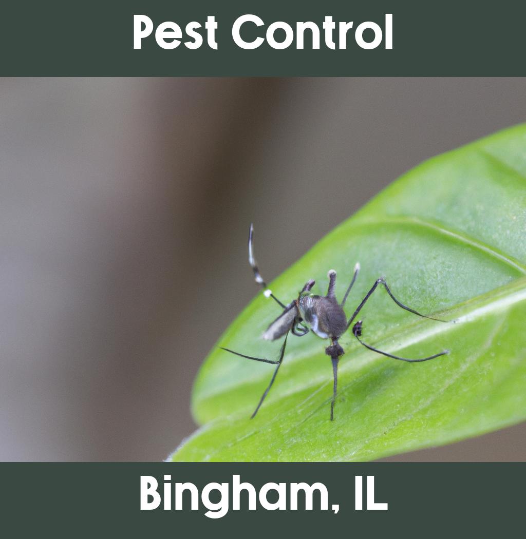 pest control in Bingham Illinois
