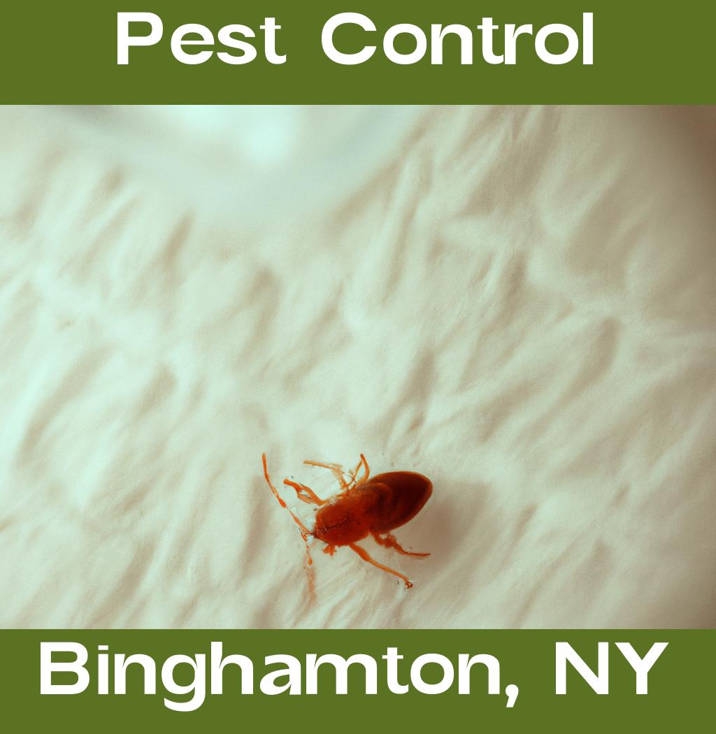 pest control in Binghamton New York