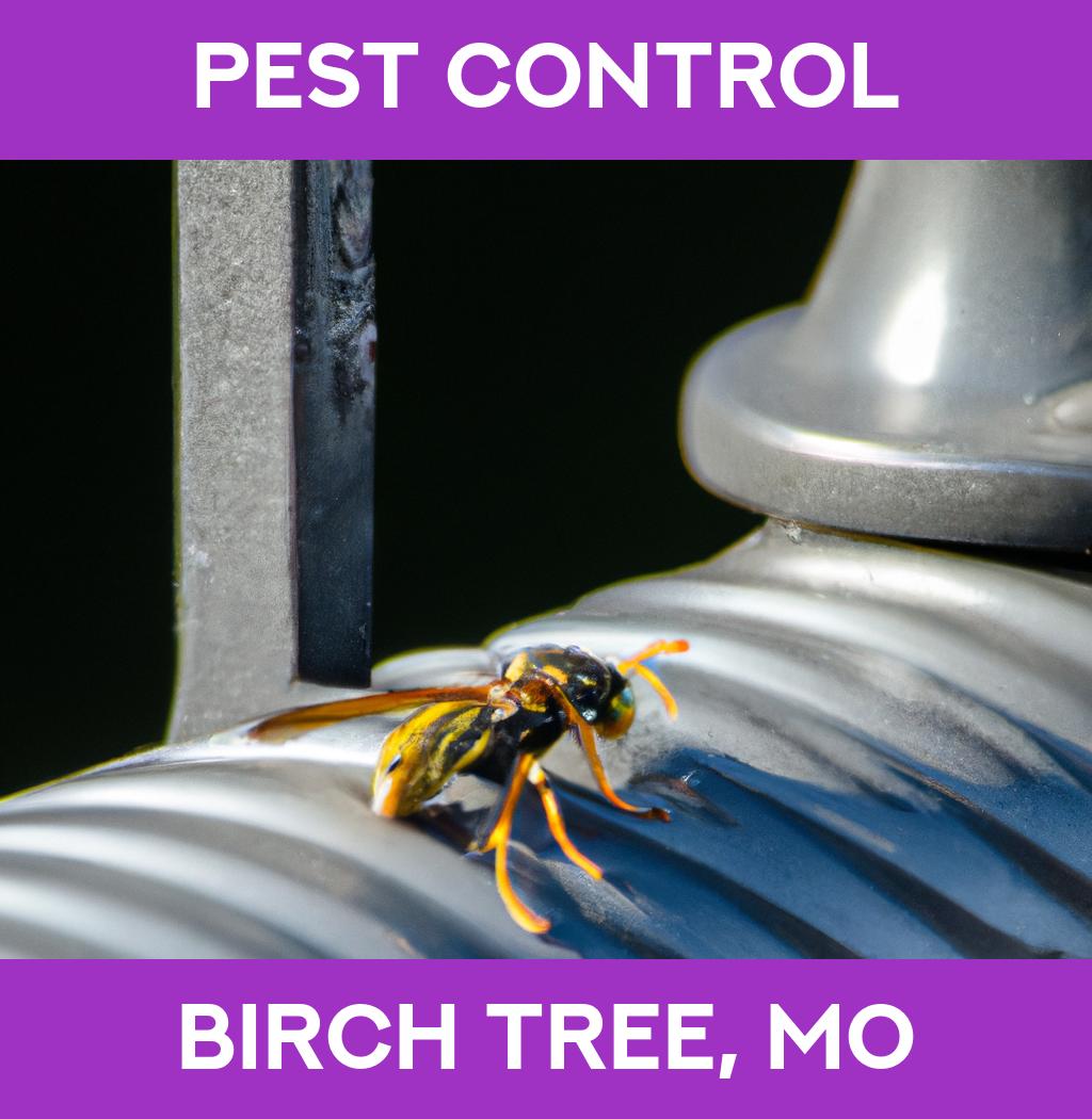 pest control in Birch Tree Missouri