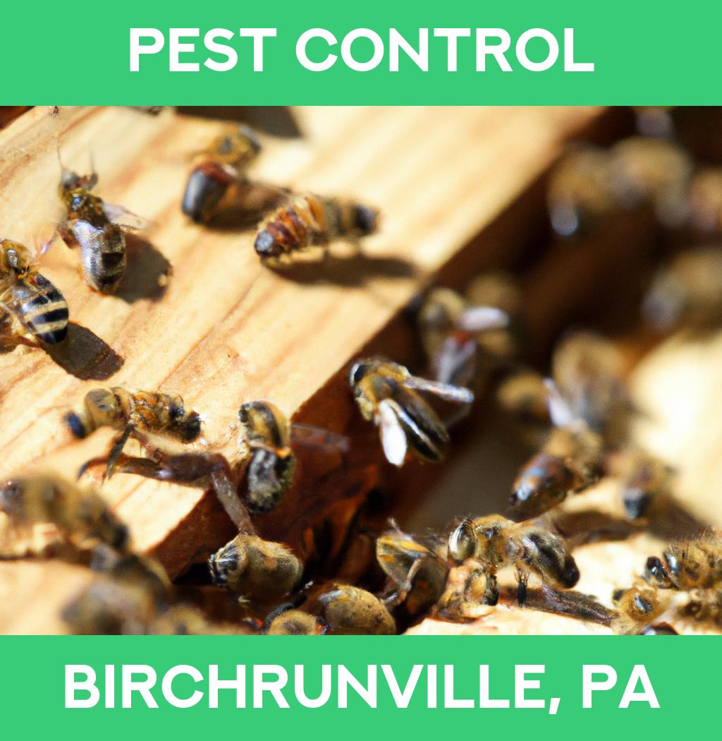 pest control in Birchrunville Pennsylvania