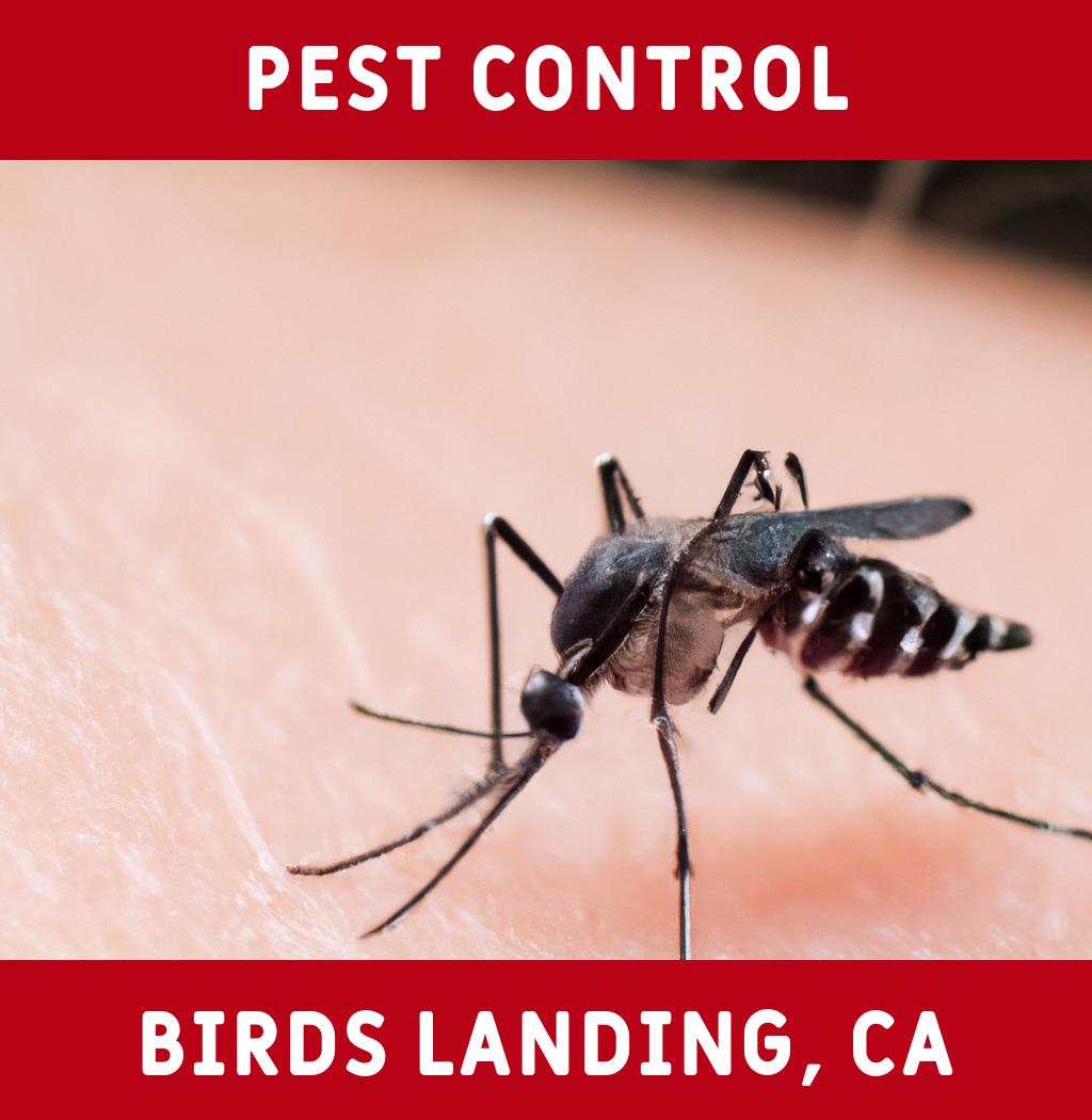 pest control in Birds Landing California