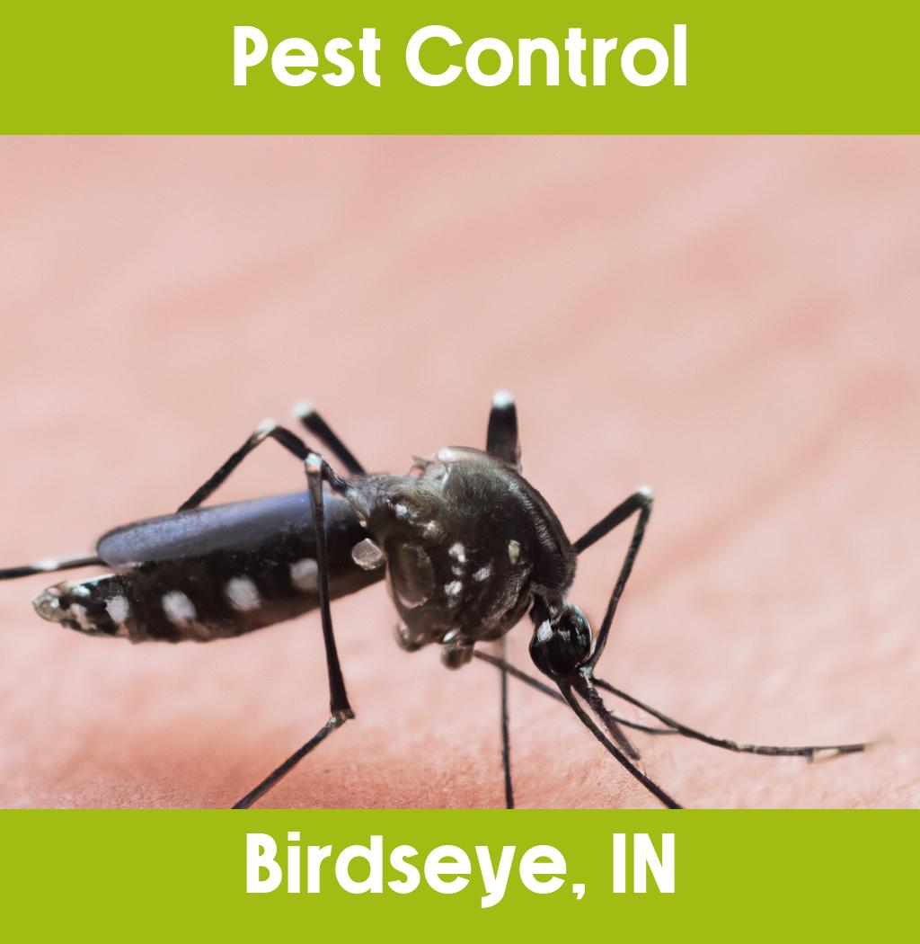 pest control in Birdseye Indiana