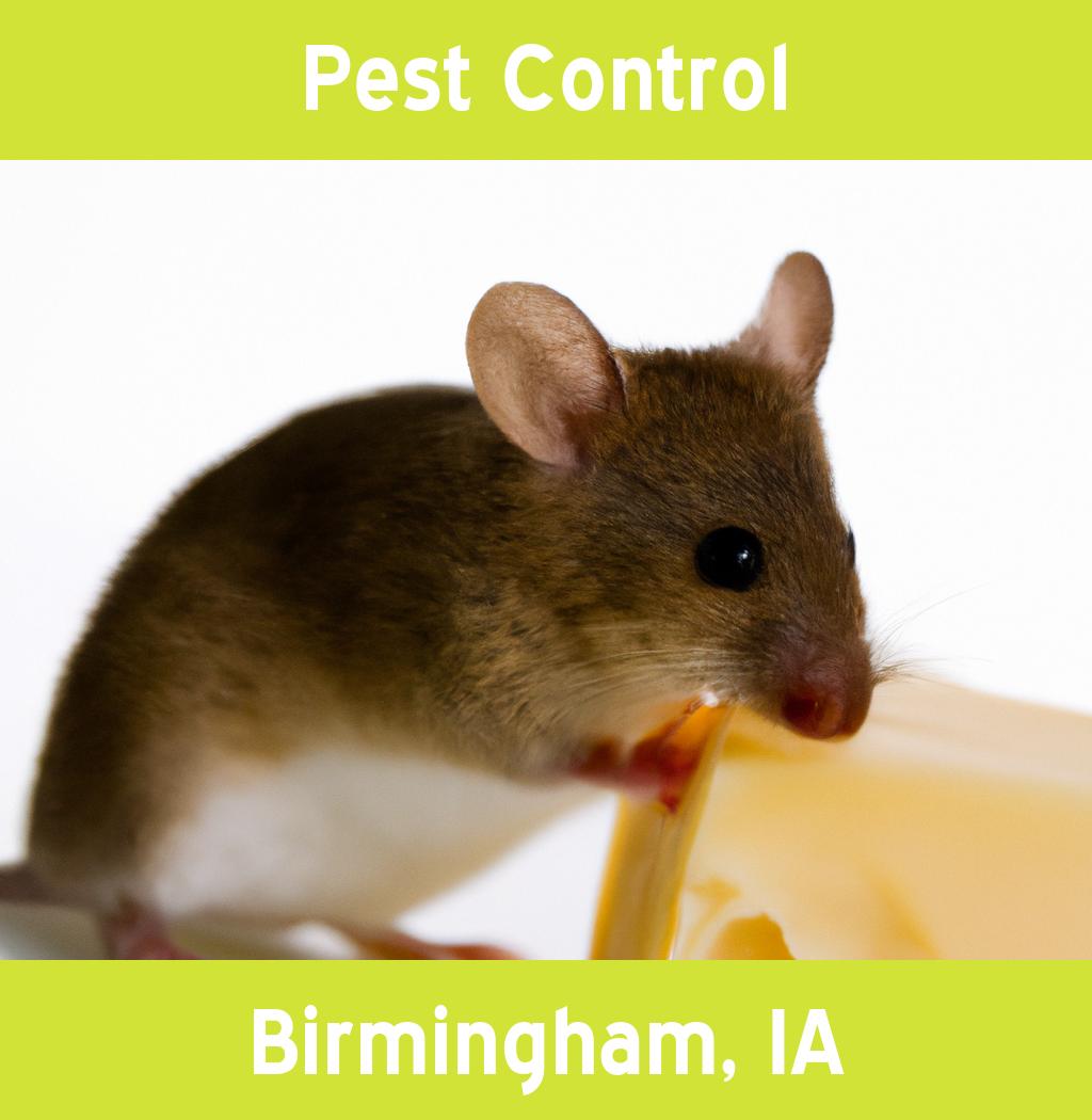 pest control in Birmingham Iowa