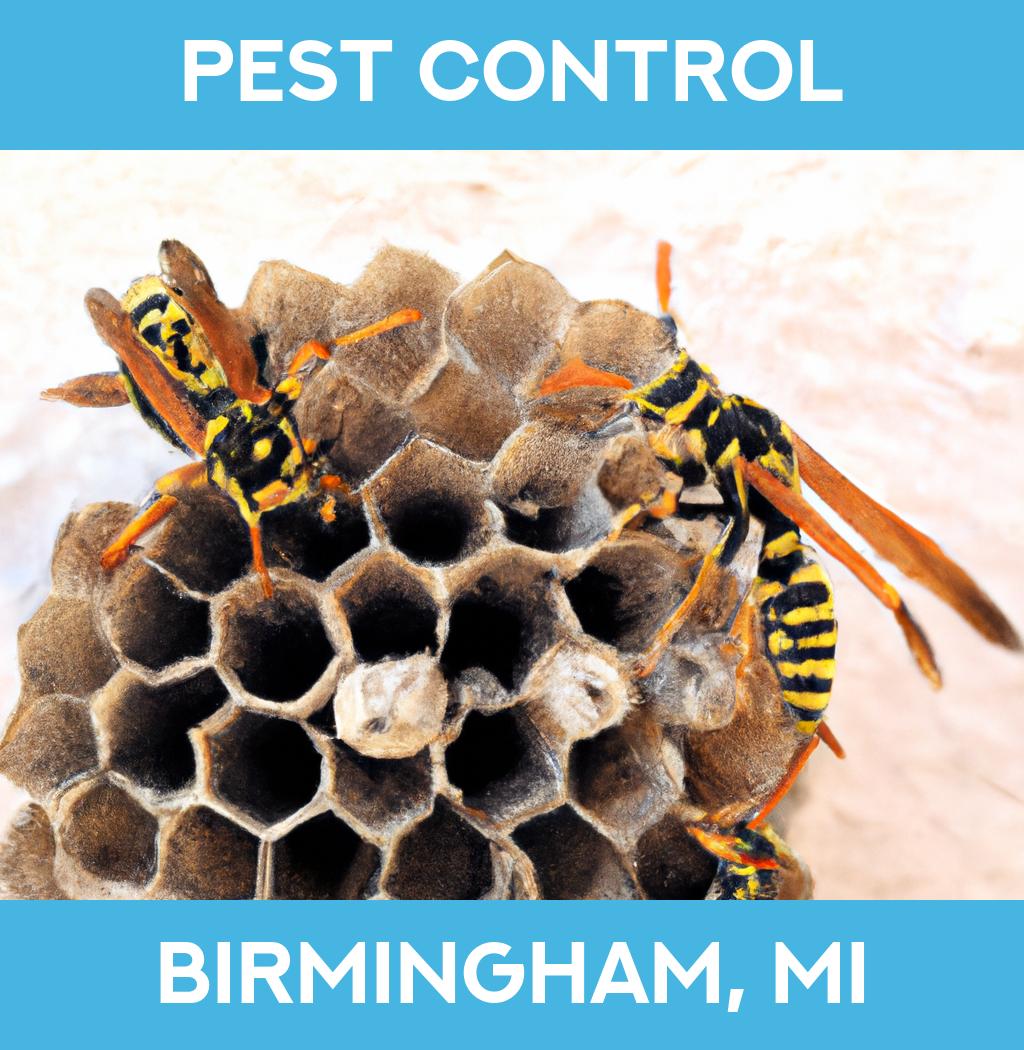 pest control in Birmingham Michigan