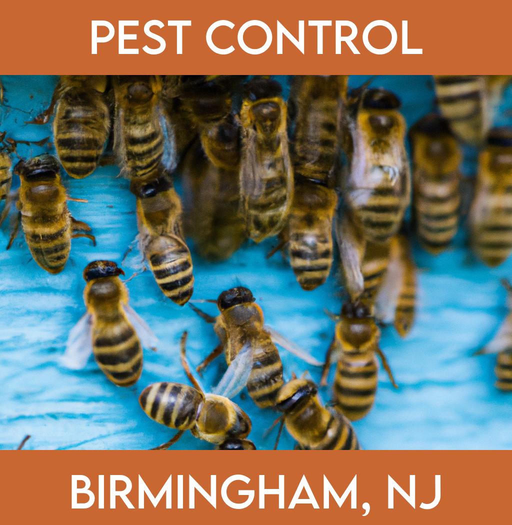 pest control in Birmingham New Jersey