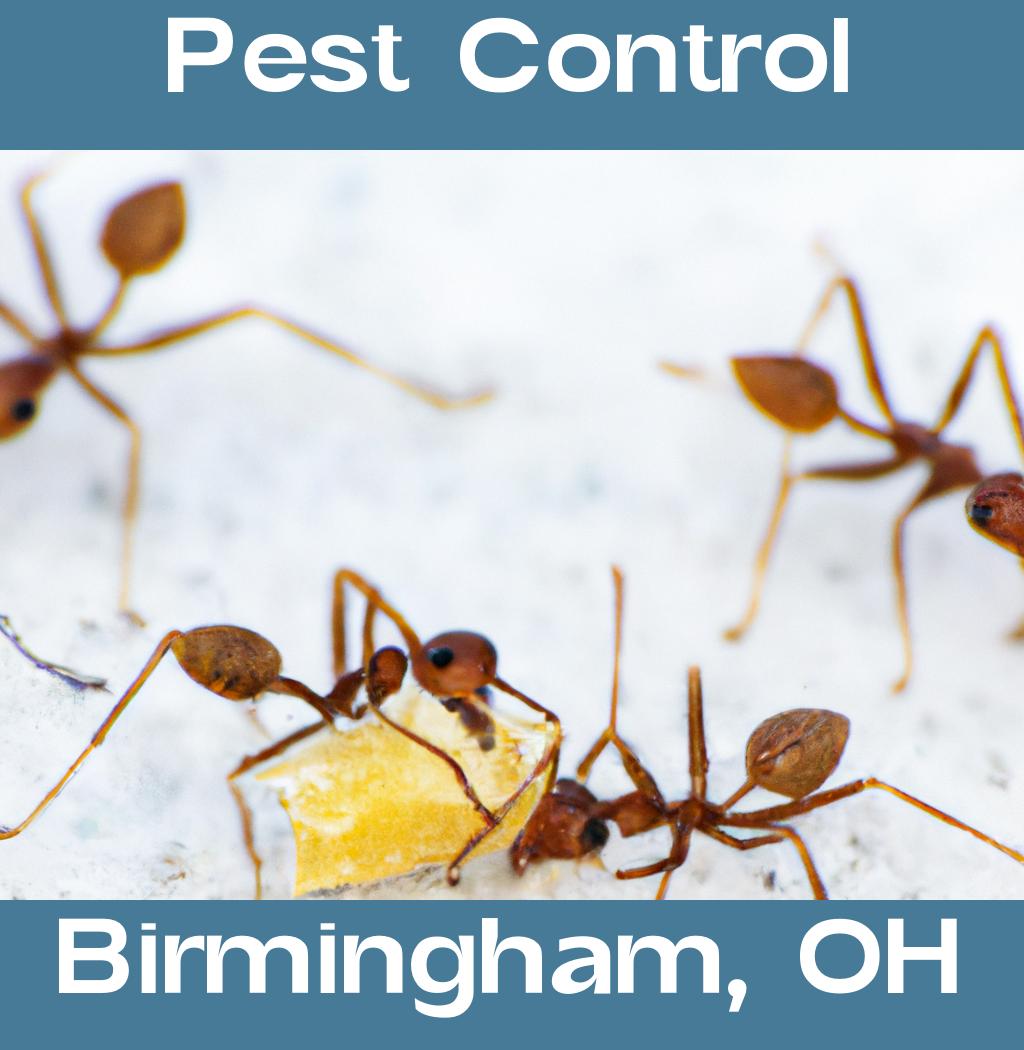pest control in Birmingham Ohio