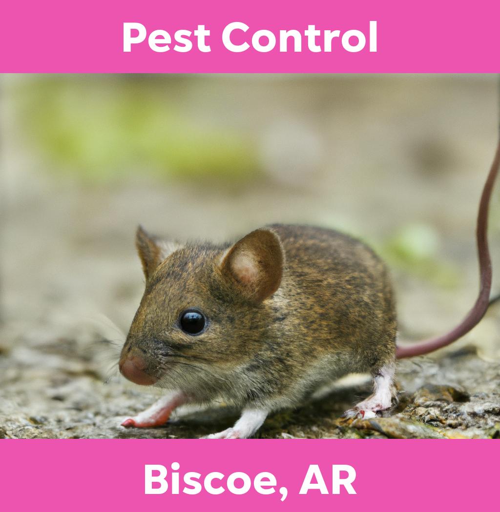 pest control in Biscoe Arkansas