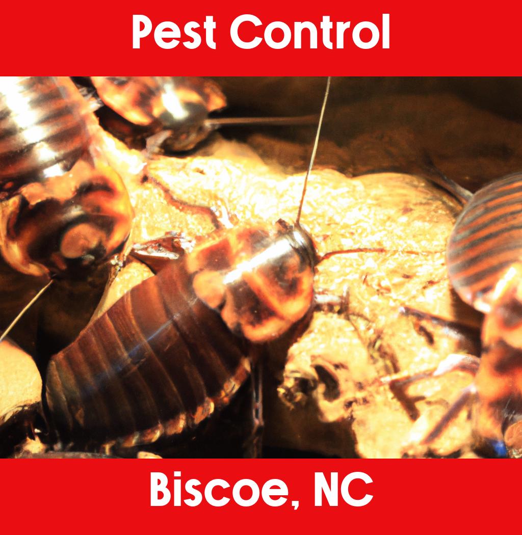 pest control in Biscoe North Carolina