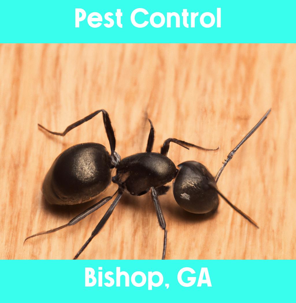 pest control in Bishop Georgia