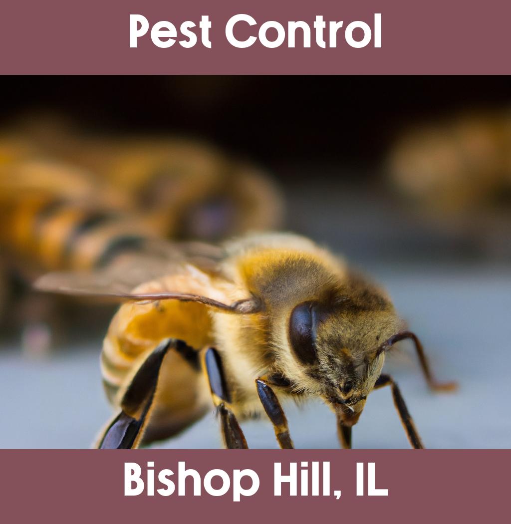 pest control in Bishop Hill Illinois