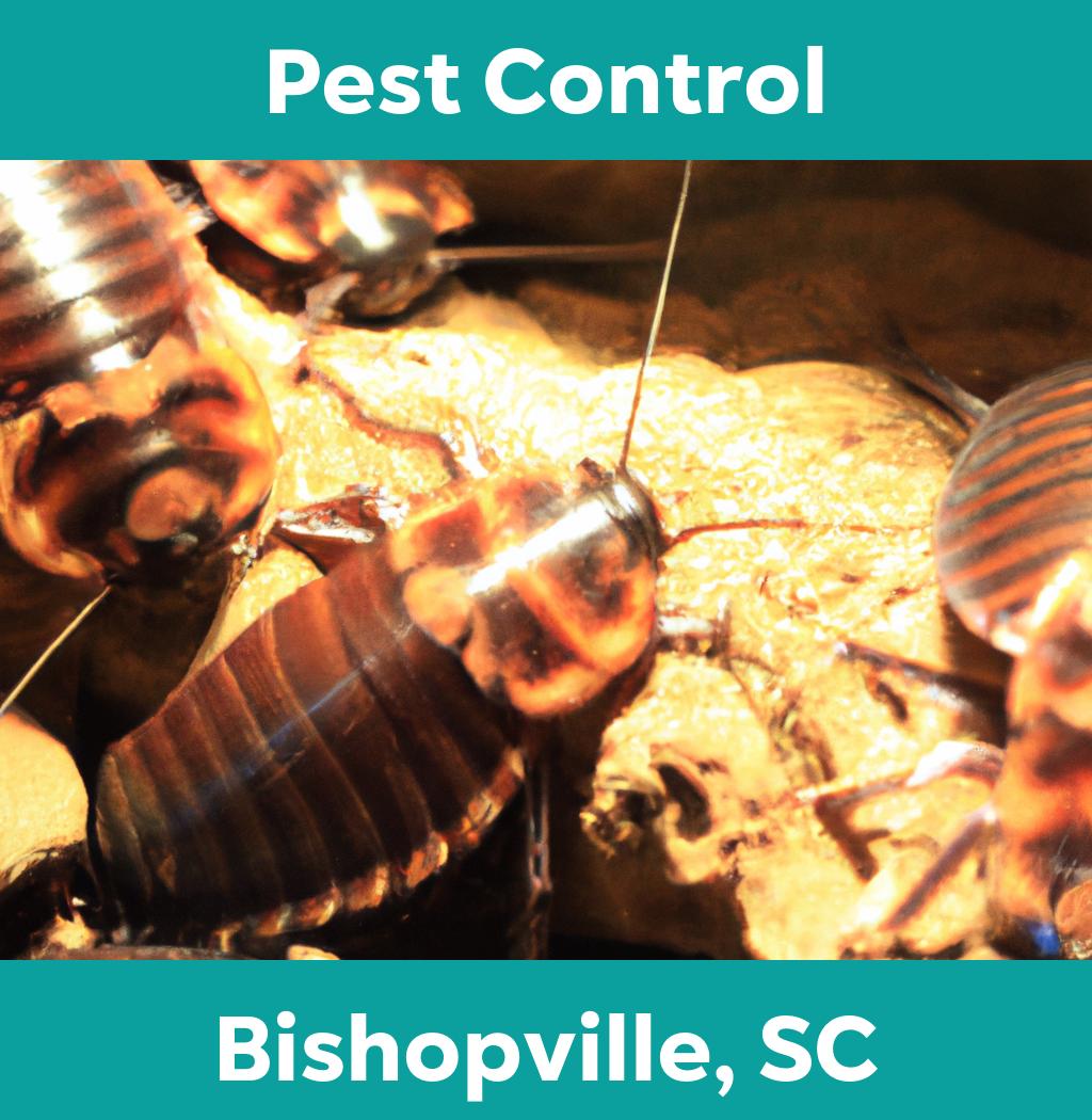 pest control in Bishopville South Carolina