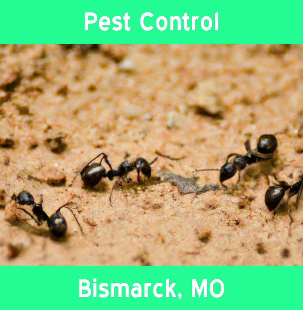 pest control in Bismarck Missouri