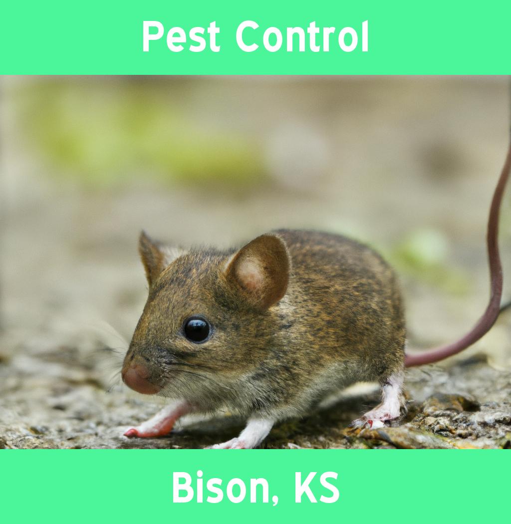 pest control in Bison Kansas