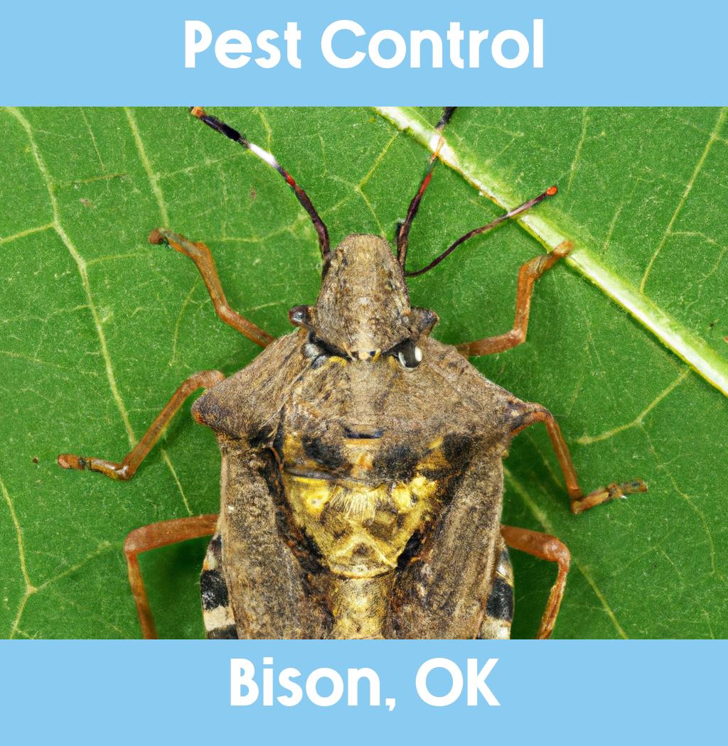 pest control in Bison Oklahoma