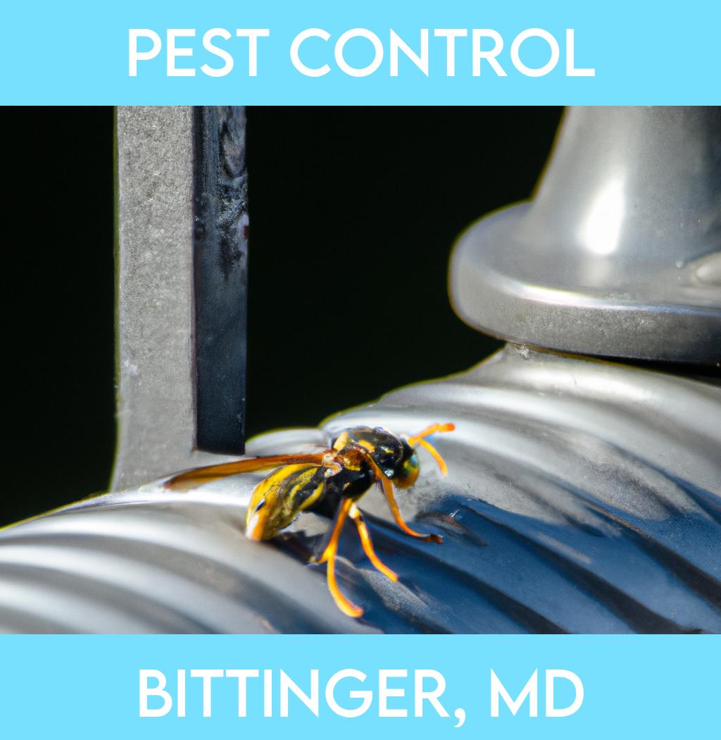 pest control in Bittinger Maryland