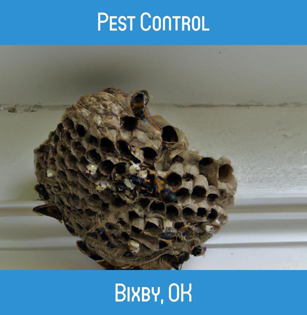 pest control in Bixby Oklahoma