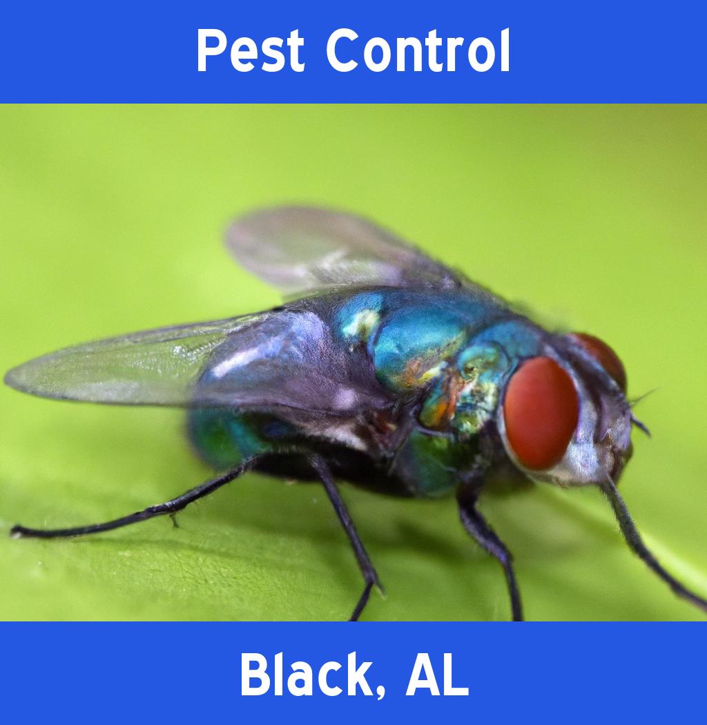 pest control in Black Alabama