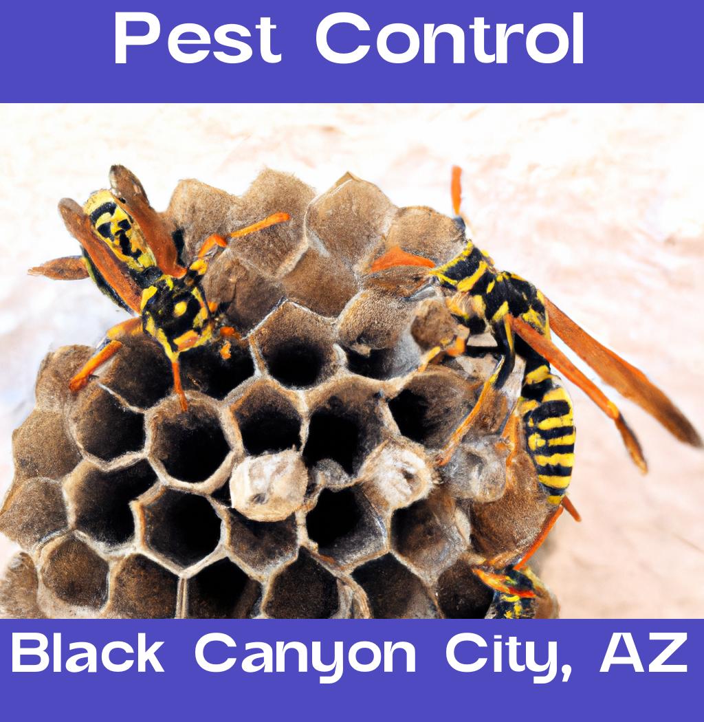 pest control in Black Canyon City Arizona