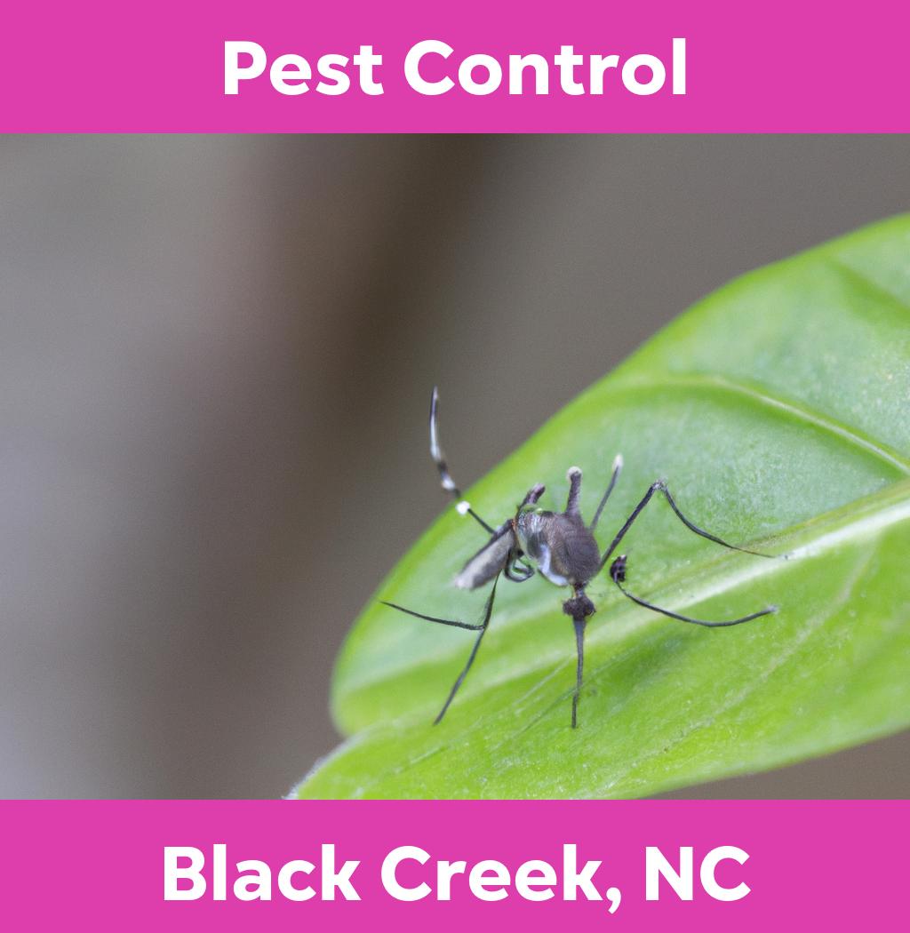 pest control in Black Creek North Carolina
