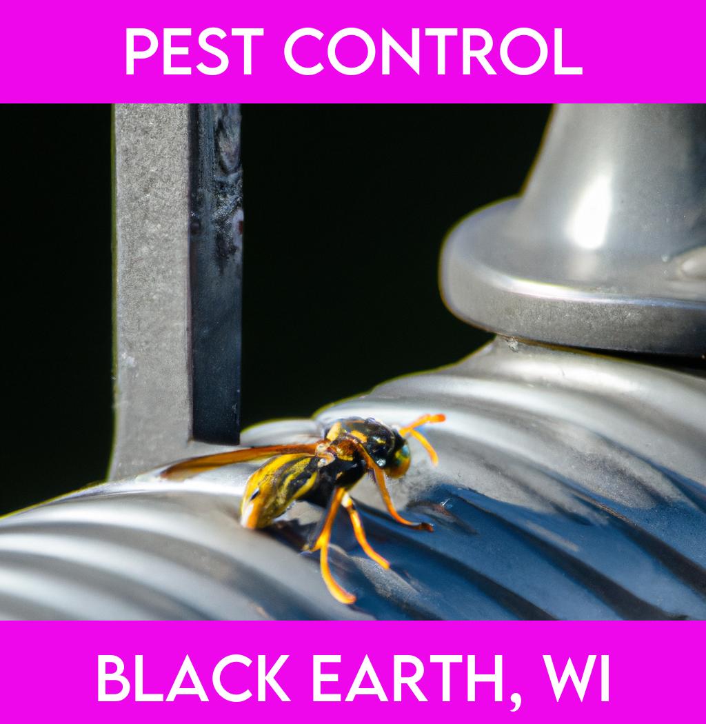 pest control in Black Earth Wisconsin