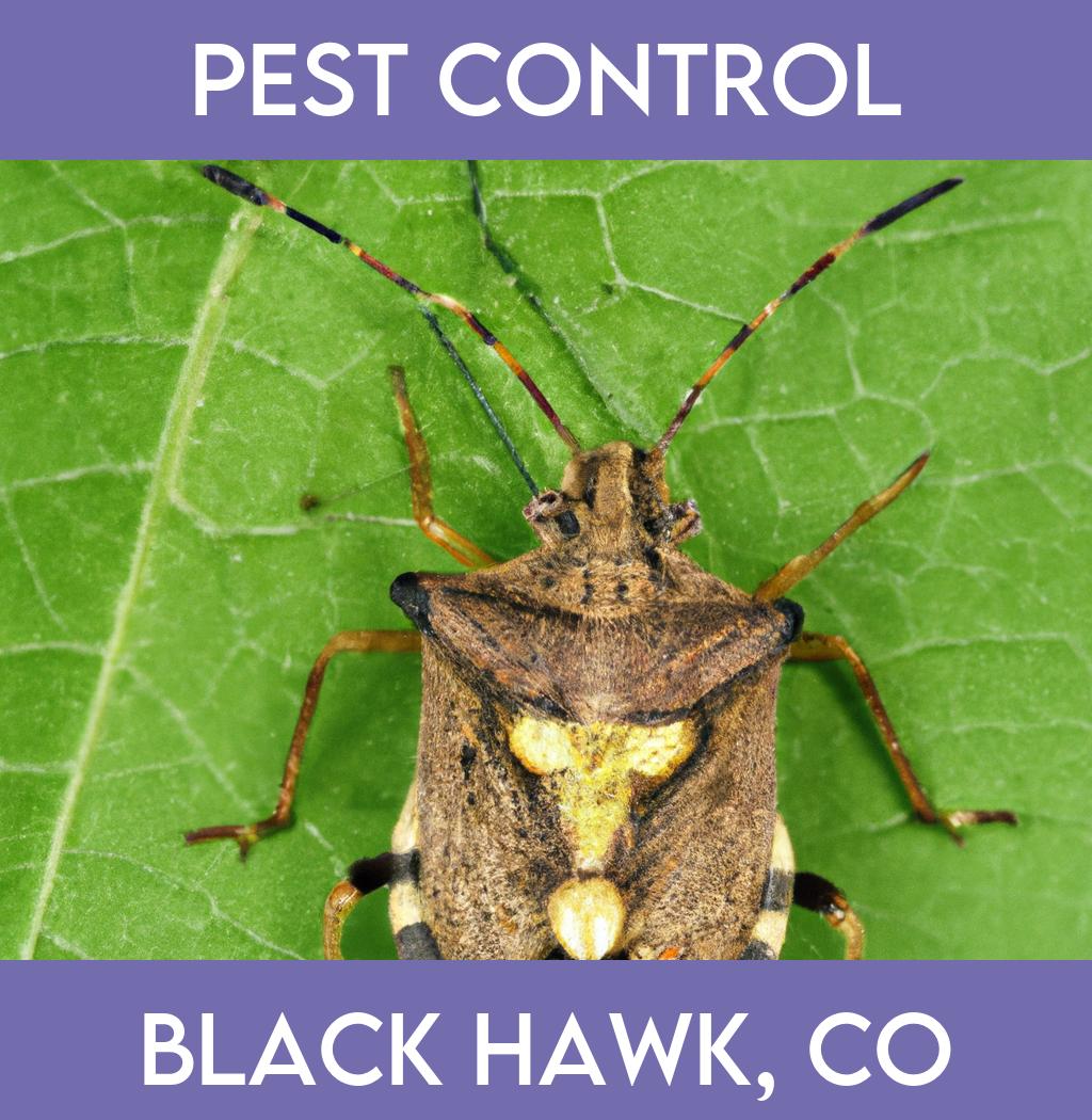 pest control in Black Hawk Colorado