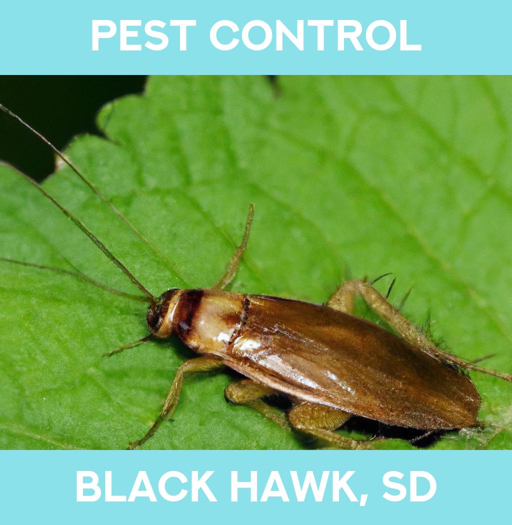 pest control in Black Hawk South Dakota