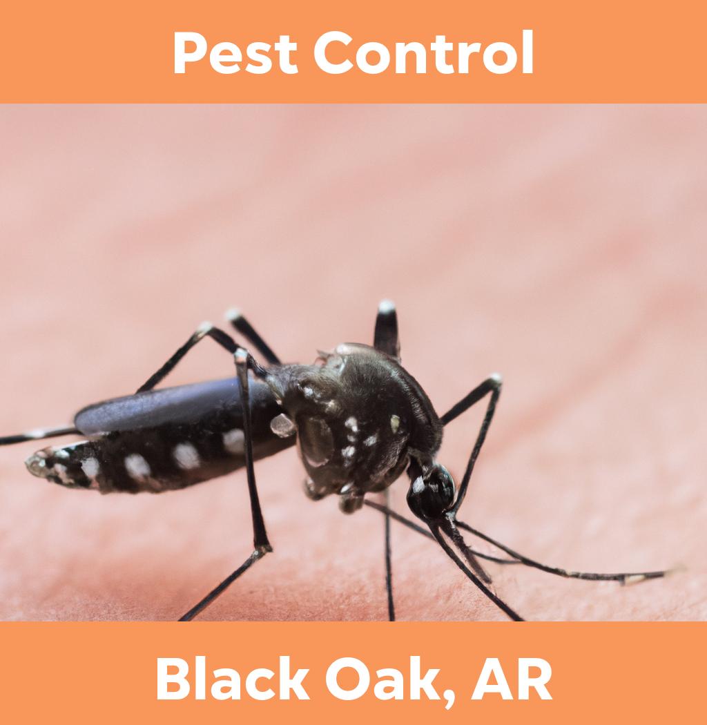 pest control in Black Oak Arkansas