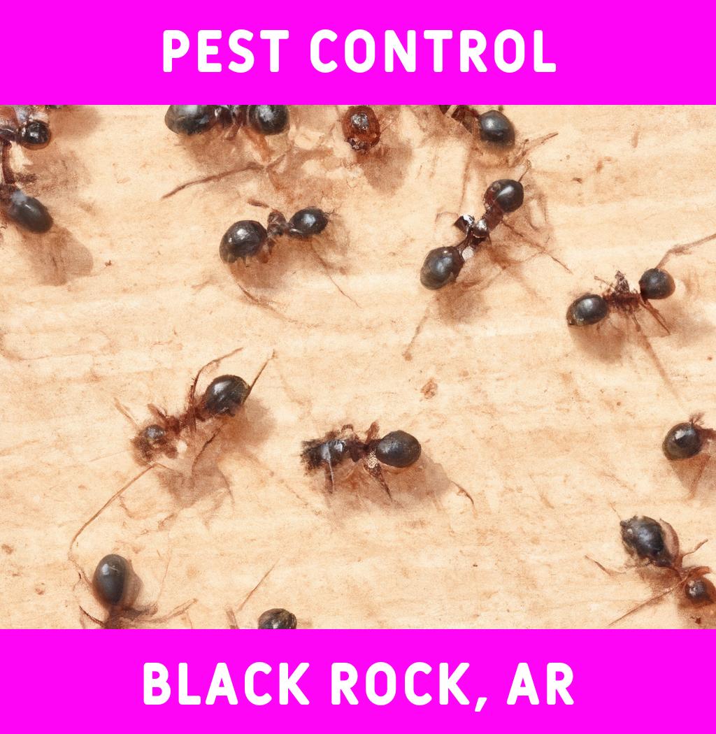 pest control in Black Rock Arkansas