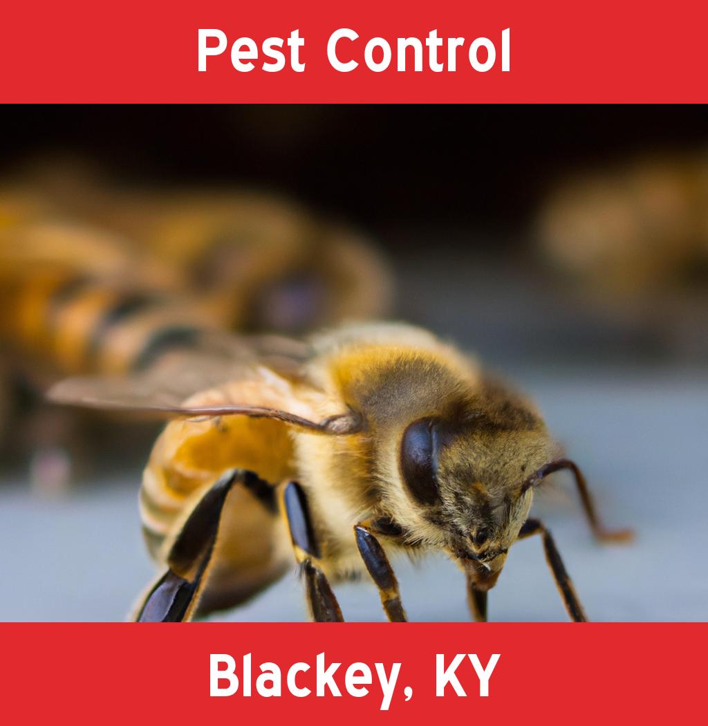 pest control in Blackey Kentucky